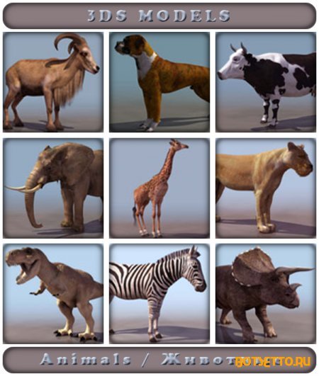 3Ds models - Animals / 