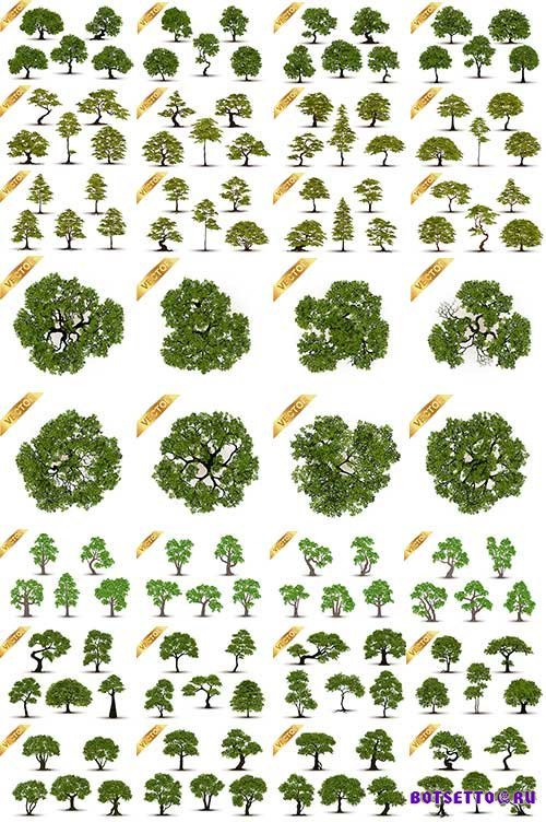     / Trees in vector